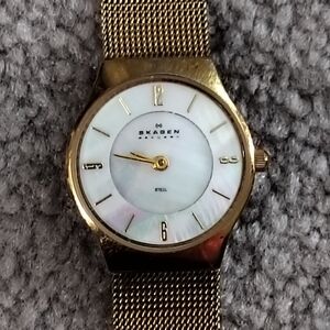 Skagen Watch